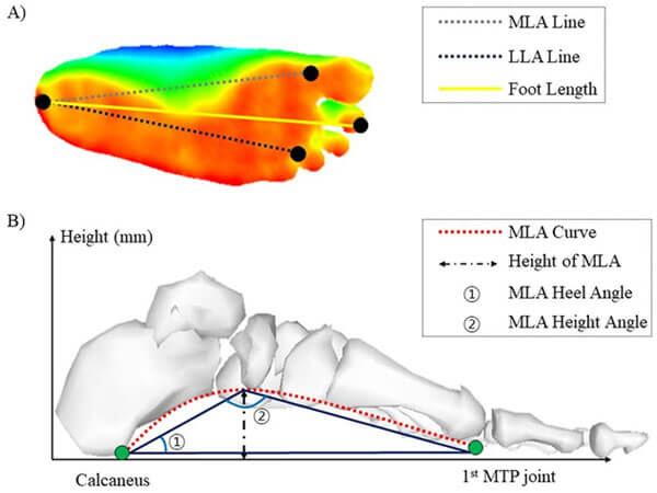 heel