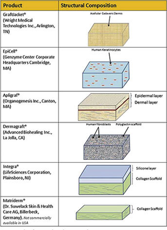 skin substitutiones