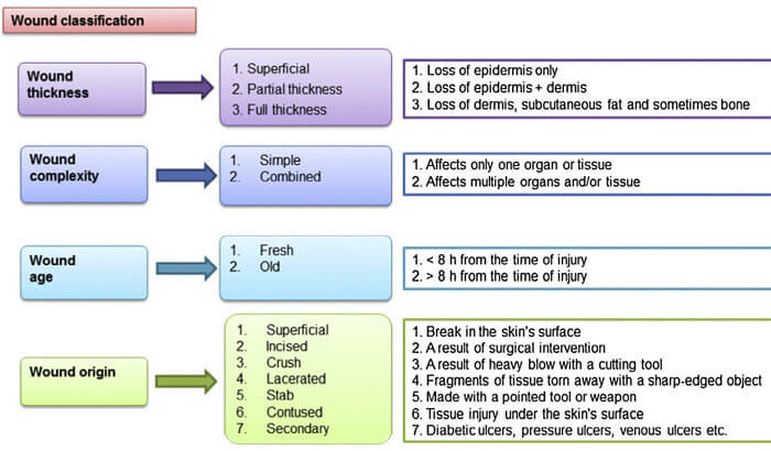 wounds-classification