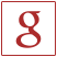 google icon