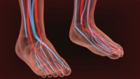Poor Circulation and Your Feet